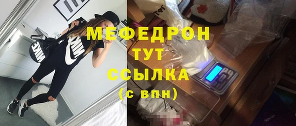стаф Арсеньев