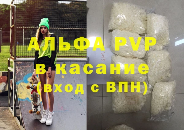 стаф Арсеньев
