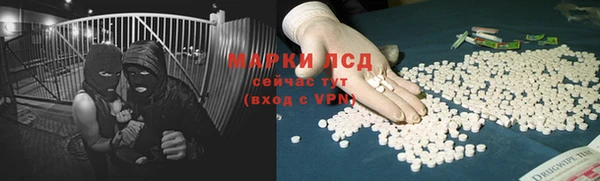 PSILOCYBIN Аркадак