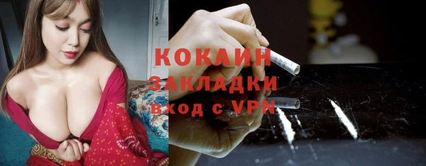 PSILOCYBIN Аркадак