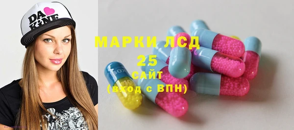 стаф Арсеньев