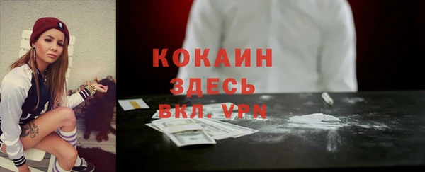 стаф Арсеньев