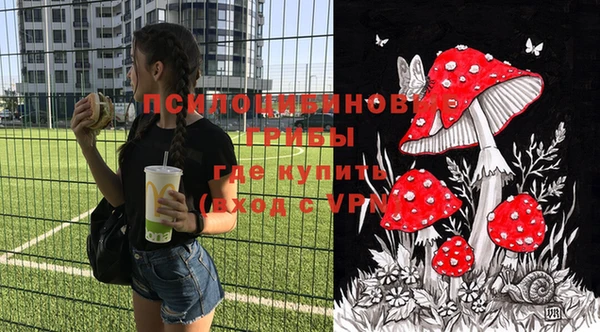 стаф Арсеньев