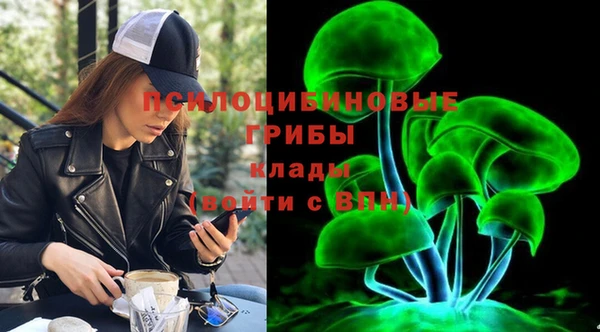 стаф Арсеньев