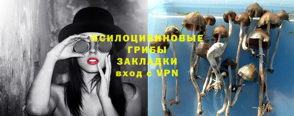 PSILOCYBIN Аркадак