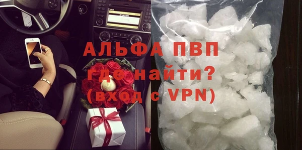 стаф Арсеньев