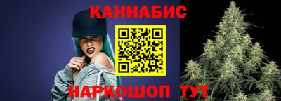 крисы Моздок