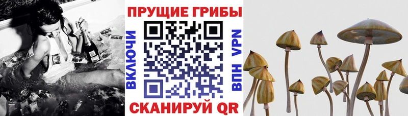 Галлюциногенные грибы мицелий  Нарткала 