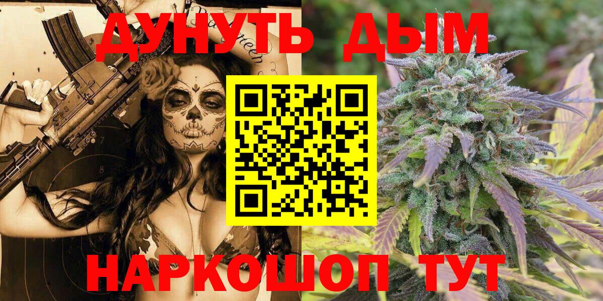 Каннабис планчик Нарткала